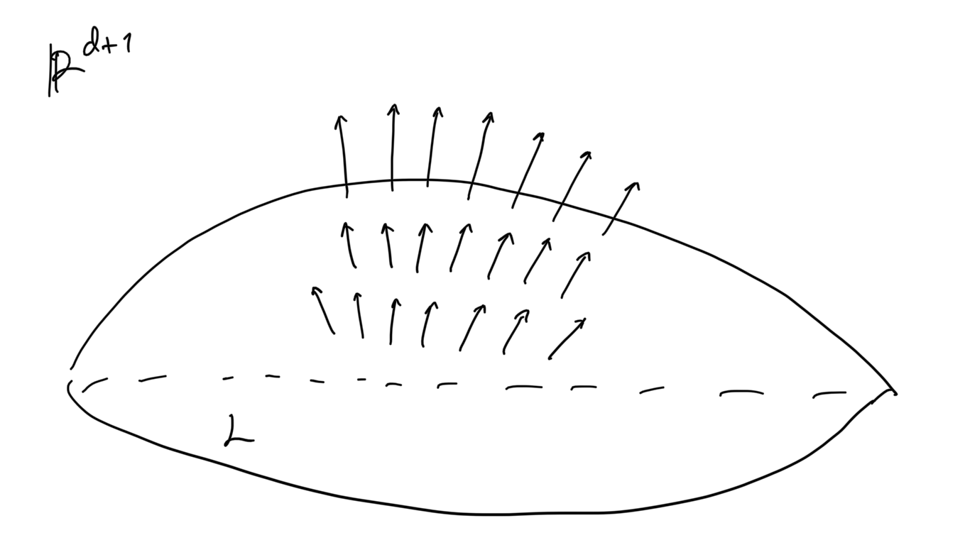 A unit normal vector field.